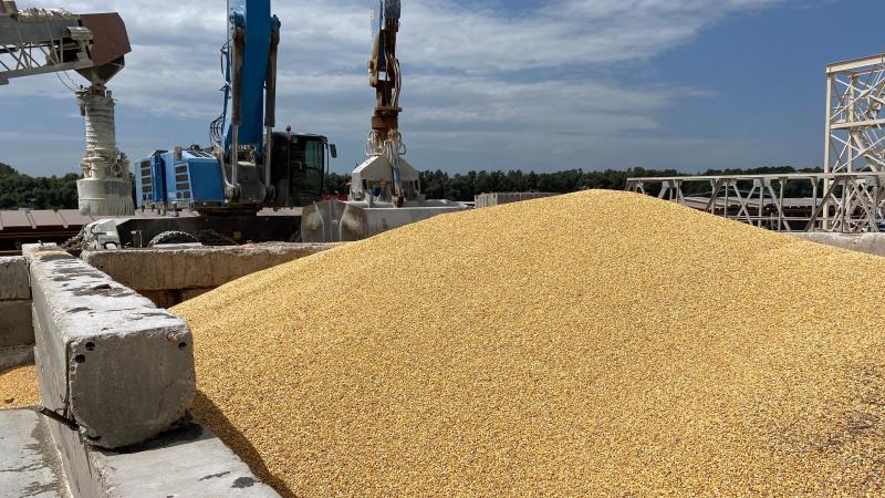 De maïsexport van Oekraïne loopt door alle oorlogsperikelen nog steeds heel stroef.