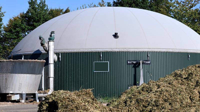 De Tongerse rechtbank heeft een rechtszaak in verband met mestfraude en een biogascentrale uitgesteld.