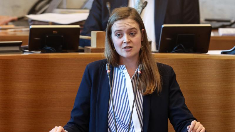 De Waalse minister van Landbouw vraagt de Europese Commissie melkveehouders te betalen om minder zuivel te produceren.