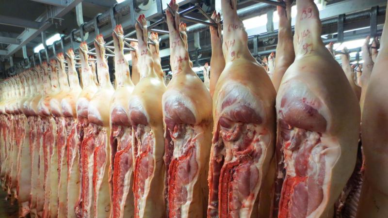 Slachthuizen die meer dan 75 runderen per week slachten zijn verplicht om de karkasgegevens door te sturen naar de centrale databank.