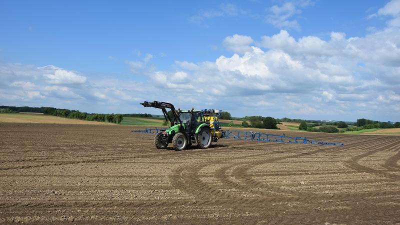 Nu de uitzaai van bieten hernomen is, moet er ook aandacht zijn voor de onkruidbestrijding.