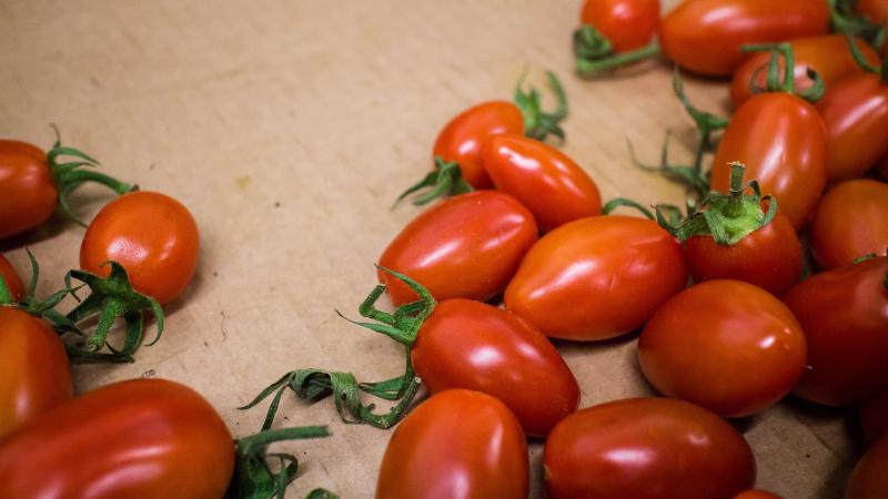Gewasbeschermingsmiddelen blijven onder controle, ook bij ons en dus ook bij snoepgroenten.