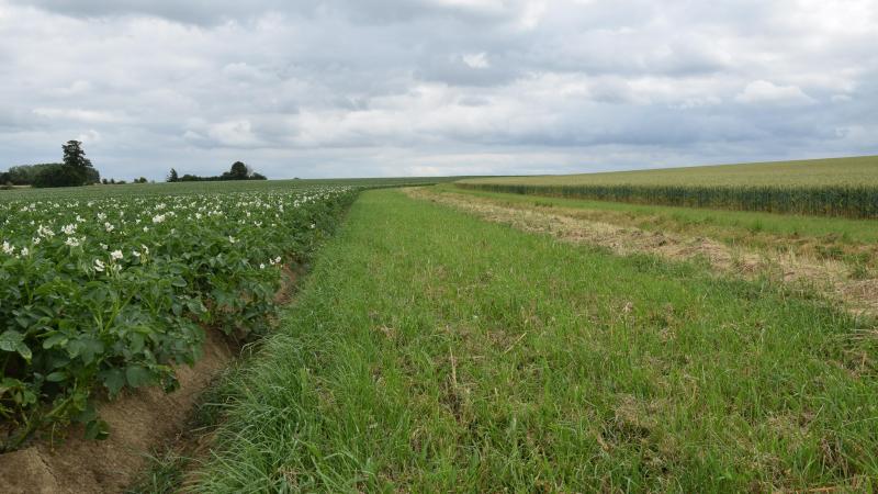 De bevraging over beschermingsstroken toonde aan dat er nog belangrijke knelpunten zijn.