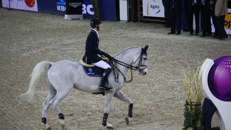 Cornet d’Amour was een uitstekende springer onder Daniël Deusser. Zijn vader Windows van ’t Costersveld (Cornet Obolensky) is ruim vertegenwoordigd in de Springindex hengsten 2025.