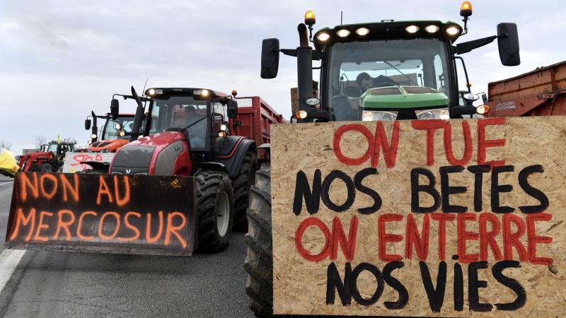 De landbouwers protesteerden in het kader van de 30ste Internationale Dag van de Boerenstrijd.