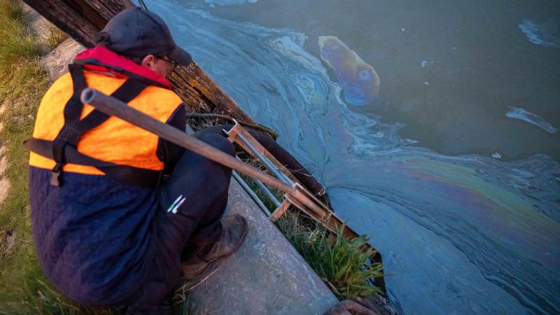 Op beide oevers van de Schelde werd olievervuiling vastgesteld en er werden al meer dan 300 met olie besmeurde vogels geteld.