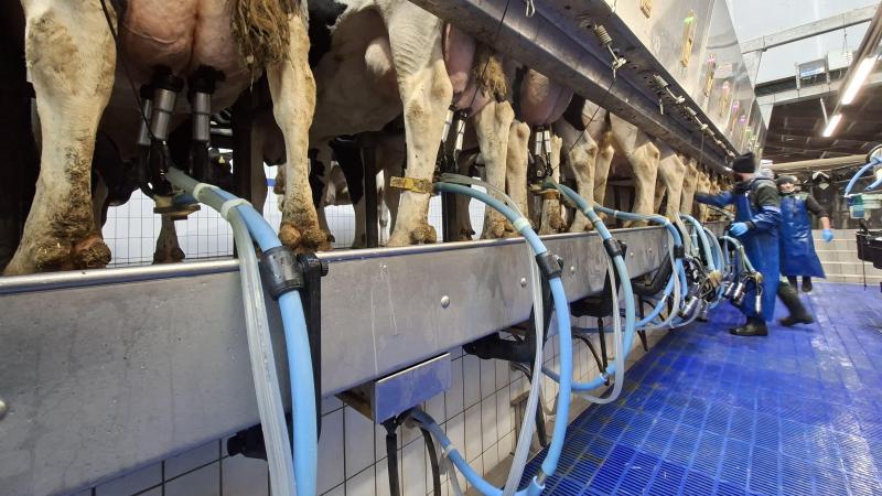 De EZ Arm moet meer ergonomie bieden bij het melken.