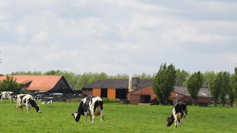 In de komende weken en maanden worden de facturen voor de inning van de verplichte bijdragen voor het Sanitair Fonds verzonden.