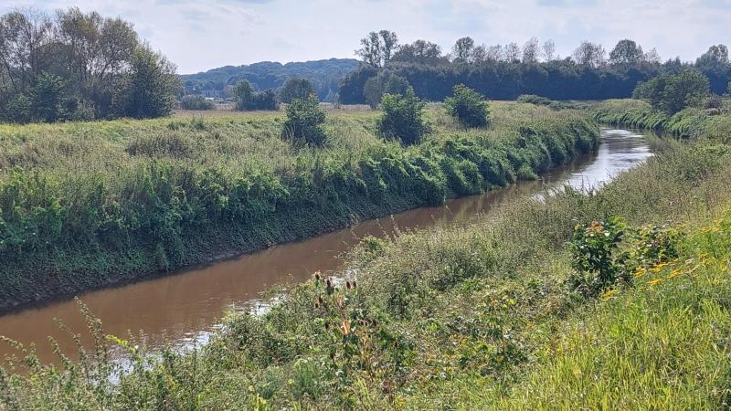 Recent werd werd onder meer de natuur versterkt langs de Demer .