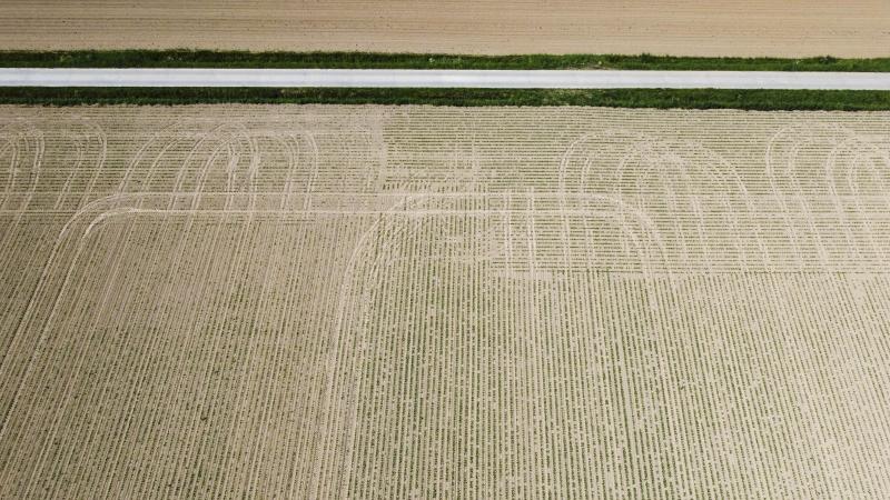 Vlaanderen investeert een recordbedrag in waterbeleid en klimaatadaptatie.