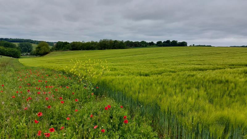 De verzamelaanvraag kan nog tot uiterlijk 31 mei gewijzigd worden.