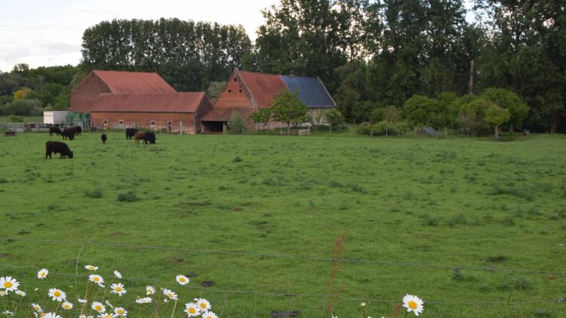 Enkele recente uitspraken deden de discussie over de fermettisering van het Vlaamse platteland terug oplaaien.