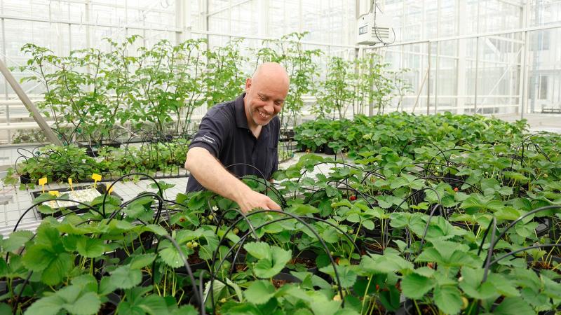 Onderzoekers kunnen in het complex gewassen zoals aardbei, banaan, peer en witloof onder gecontroleerde omstandigheden bestuderen.