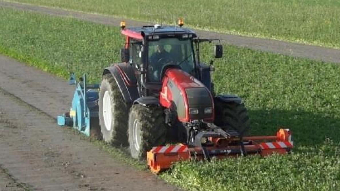 Biofumigatie kan betekenen dat men de groenbemester vooraan de tractor klepelt en achteraan inwerkt.
