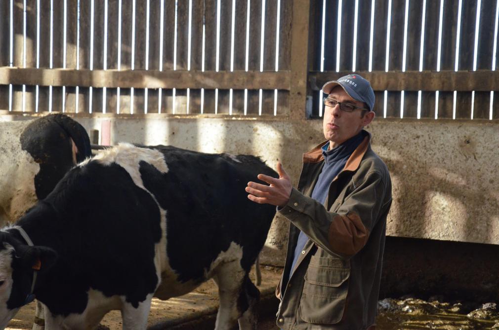 Voor Yoann was de stap naar de driegwegkruising een geslaagde uitdaging. Zo kon hij de voortplantingsproblemen van zijn veestapel verminderen terwijl hij een goede melkproductie bleef behouden.