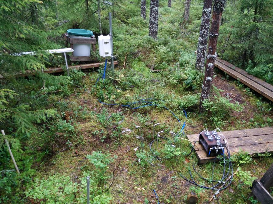 Het bos rond wetenschappelijk meetstation SMEAR II staat barstensvol meetapparatuur.