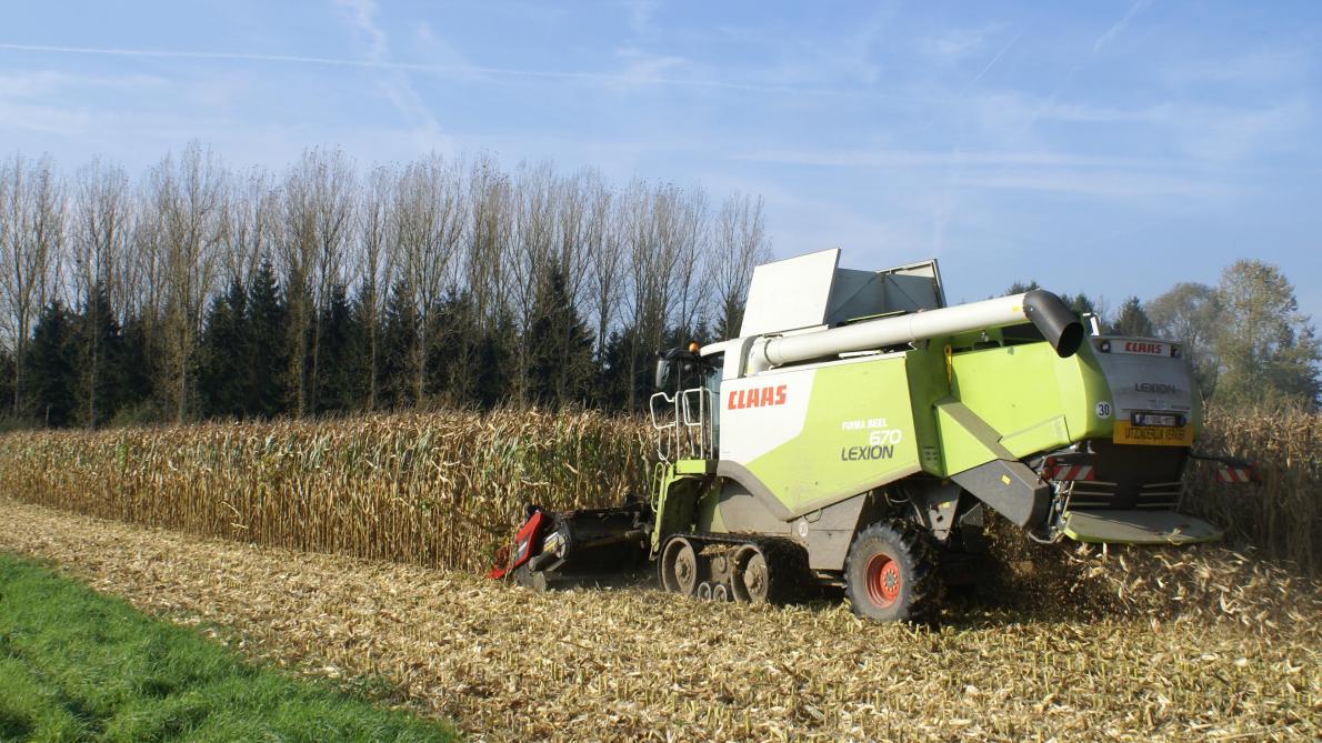 Een meevaller dit jaar waren de weersomstandigheden bij de oogst van de korrelmaïs, o.a. de droogkosten bleven mede hierdoor beperkt.