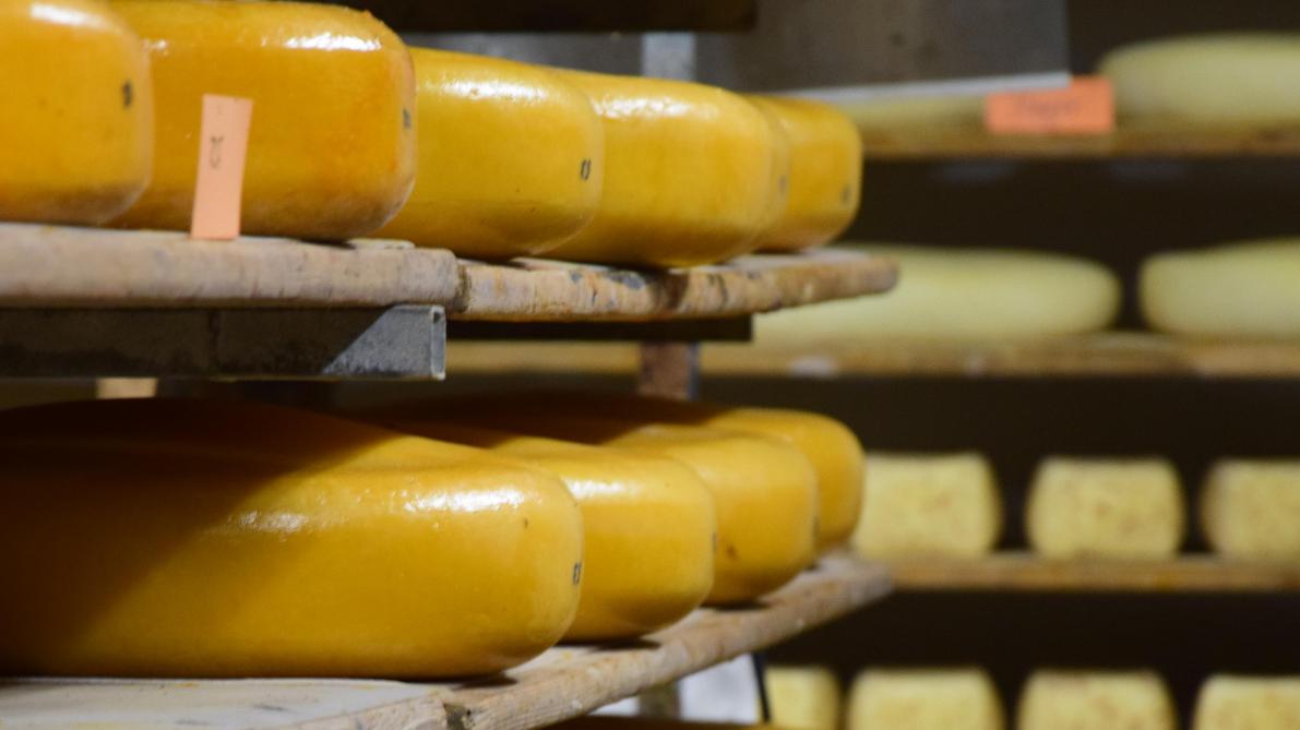 Peter Boonen was dertien jaar oud toen hij zijn eerste kaas maakte. Nu produceert en verkoopt hij 140 verschillende soorten op Catharinadal.
