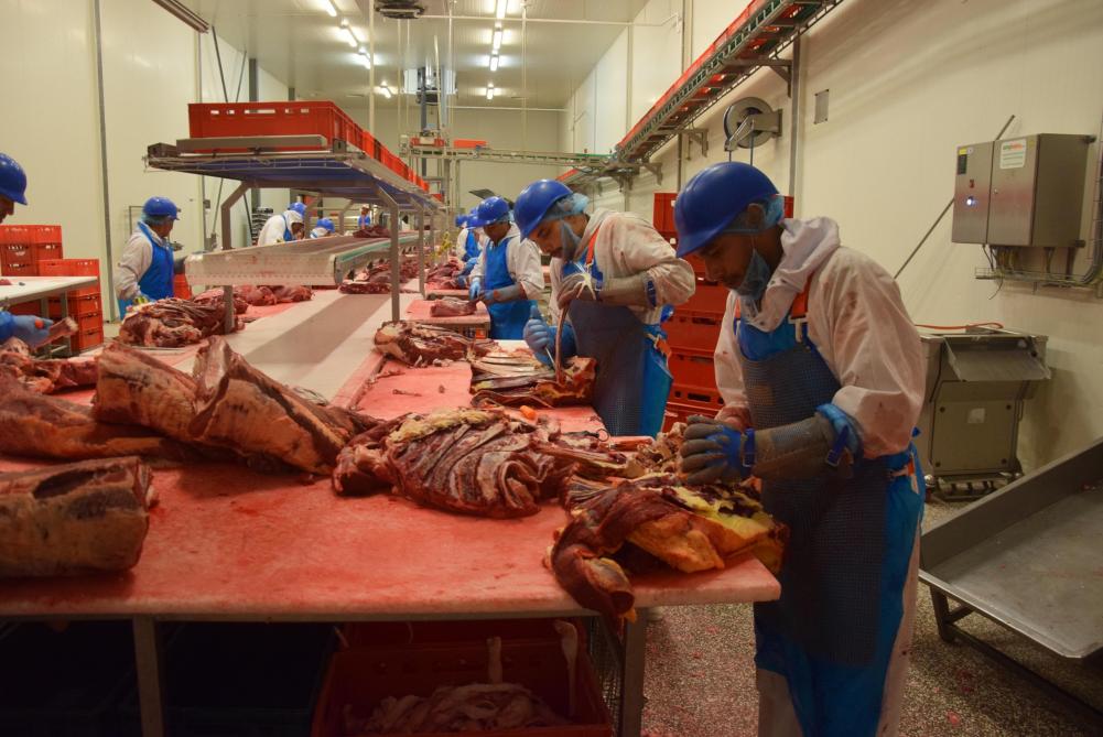 Vlees uitsnijden vraagt heel wat  niet-automatiseerbare stielkennis.