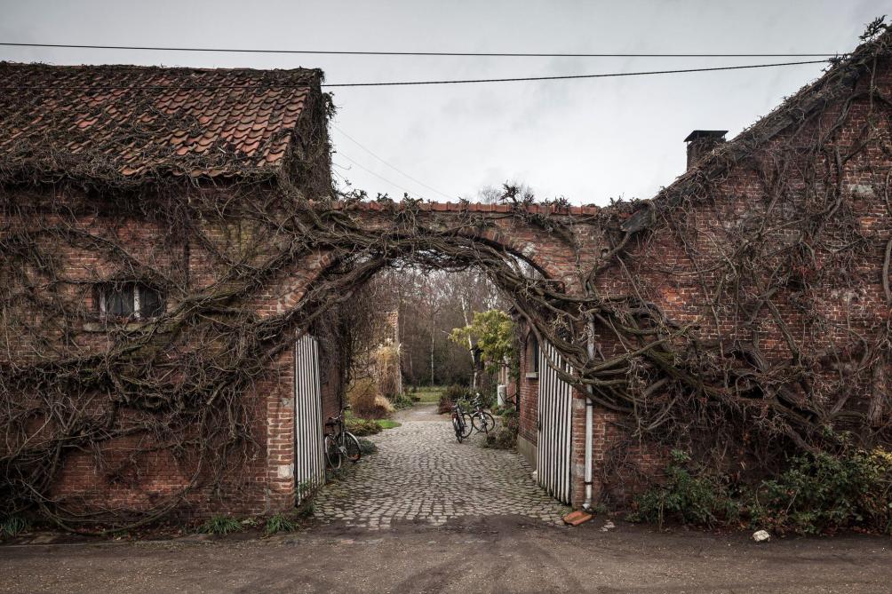 Collectieve bioboerderij en pachthoeve De Kijfelaar wil renoveren en een rendabel landbouwgebruik behouden.