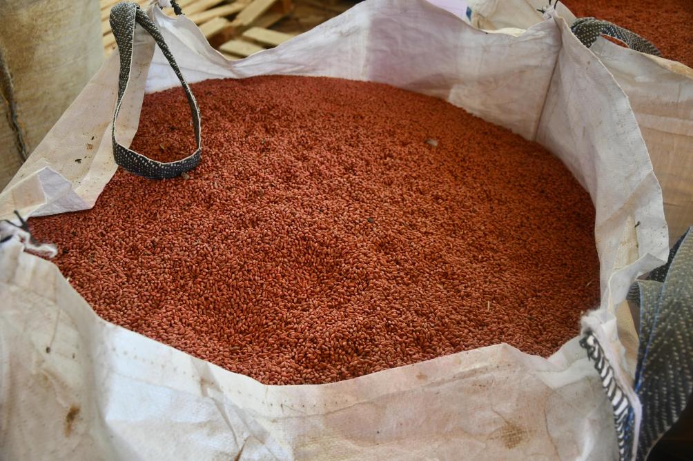 De akkerbouwtak van het bedrijf omvat korrel- en silomaïs, koolzaad en granen (tarwe en triticale).