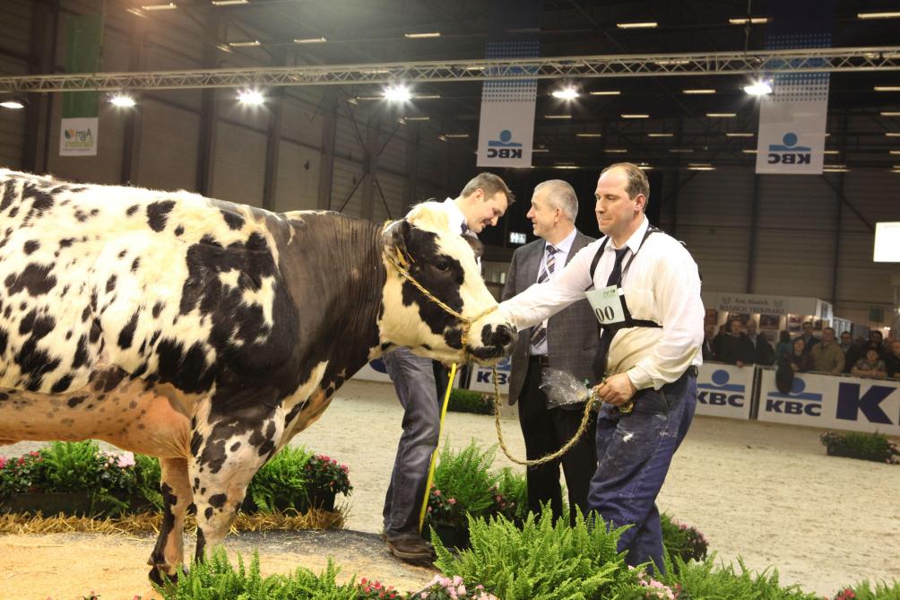 5356308489_2a4e4aff88_o