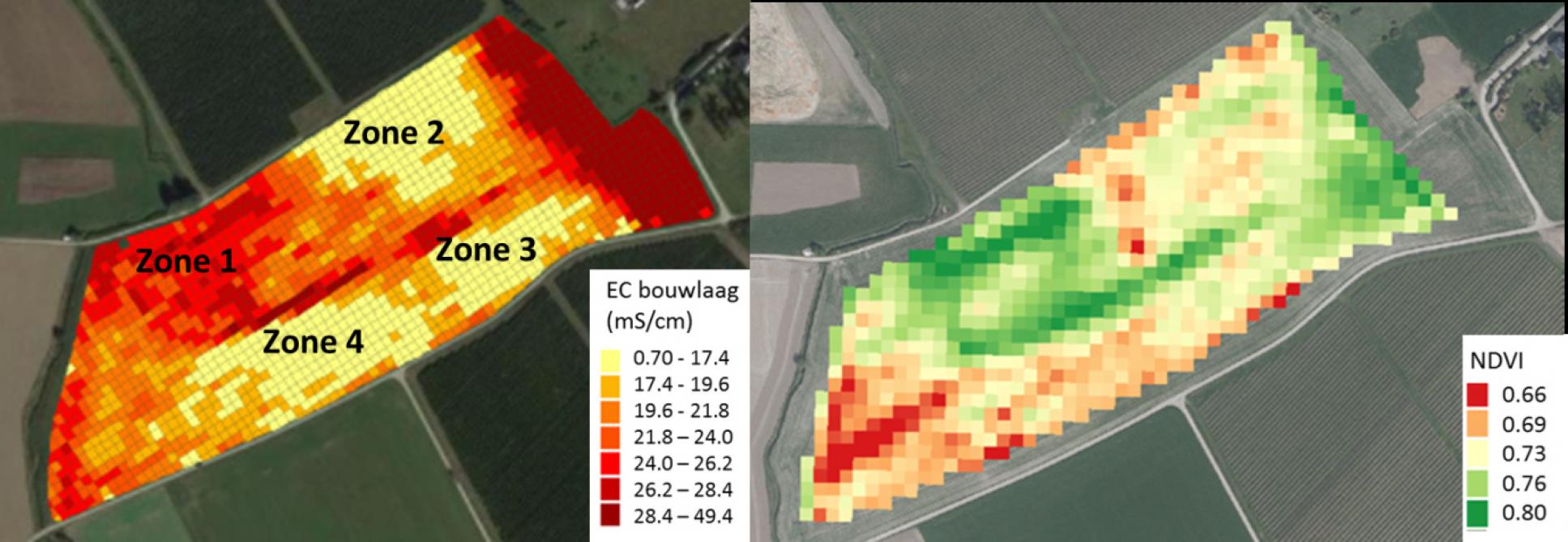 EC-waarde in de bouwlaag gemeten met de Veris bodemscanner en NDVI die de groenheid van het gewas weergeeft op 6/08/218. In de zone met een hoge EC (zone 1) bleef het loof langer groen terwijl dit in de andere zones sneller afstierf.