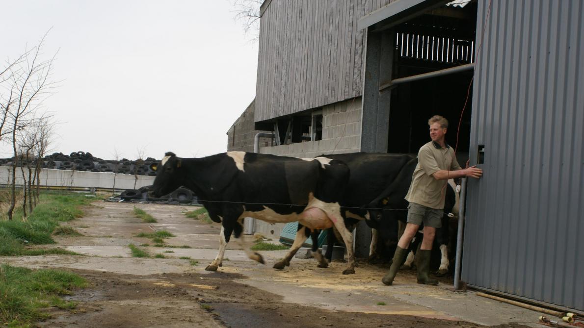De brancheorganisatie zal volgens de initiatiefnemers voordeel opleveren voor heel de keten.