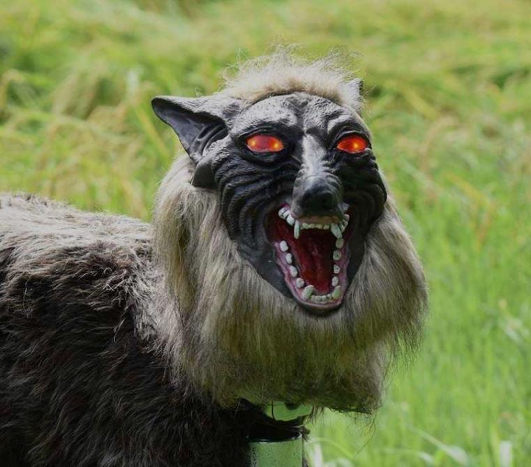 Edito: Wie is er bang voor de grote boze wolf?