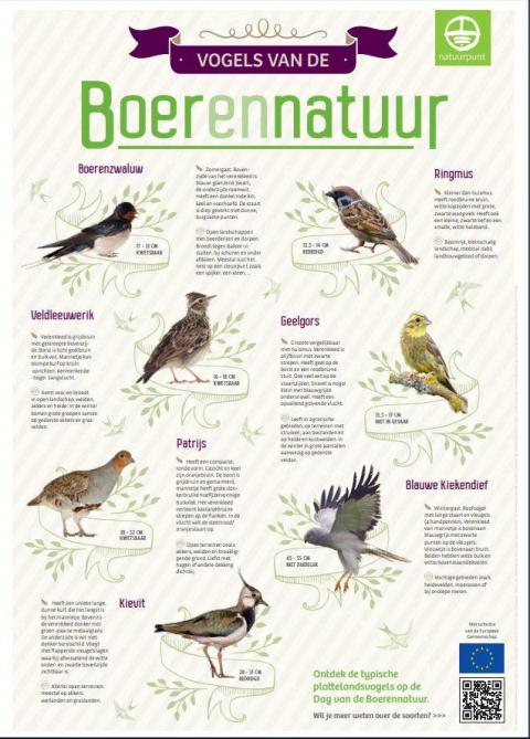 postervogels_natuurpunt