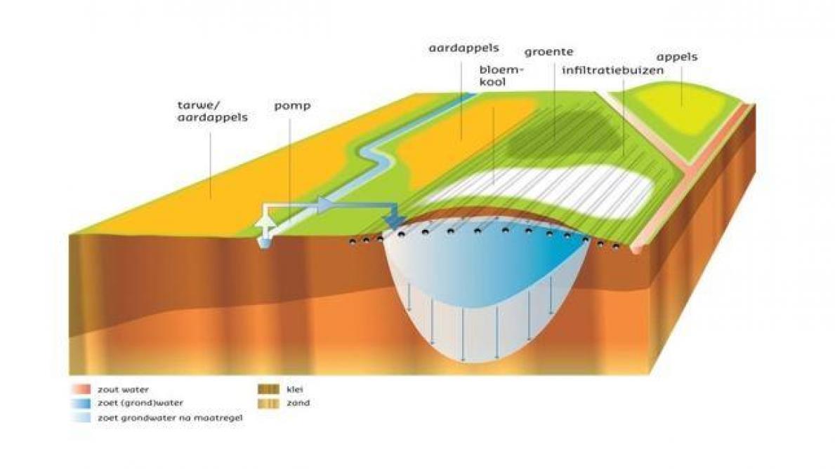 Er wordt bekeken of in Westhoek water ondergronds geborgen kan worden via bijvoorbeeld kreekruginfiltratie.