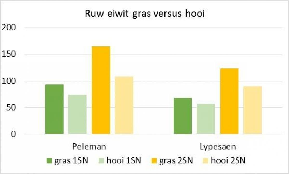 Figuur 2B: Ruw Eiwit gehalte van vers gras en hooi voor 2 percelen dotterbloemgrasland in de regio Berlare/Zele in 2018. 1SN: 1 e  snede na 15 juni 2018, 2SN: 2 e  snede in september 2018
