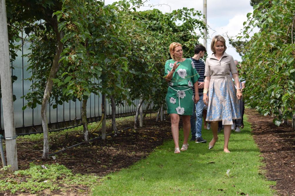 De Koningin toonde veel belangstelling voor de teelt van kiwibessen en de marktgerichte beslissingen van tuinbouwster Inge Zeeuws uit Lummen.
