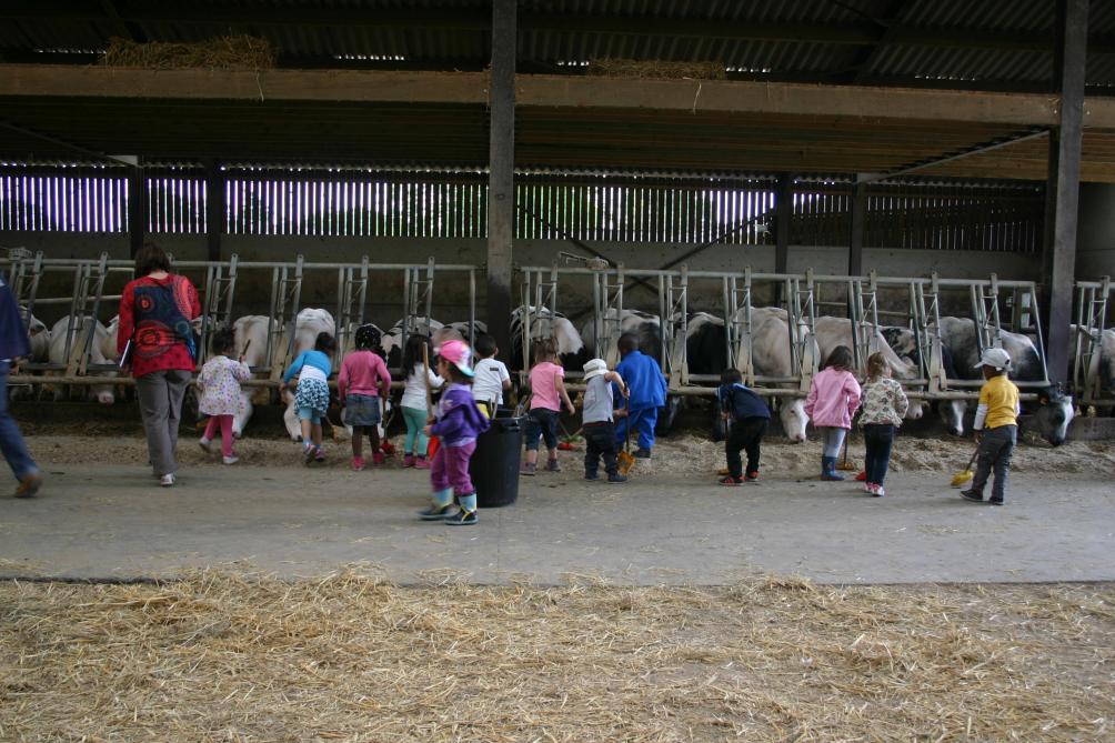 De koeien melken en de kalveren en andere dieren te drinken geven, staan  op het programma tijdens een voormiddag vol ontdekkingen.
