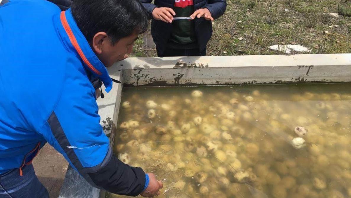 Vandaag worden waterbekkens met stromend rivierwater gebruikt om de tunta’s onder te dompelen.