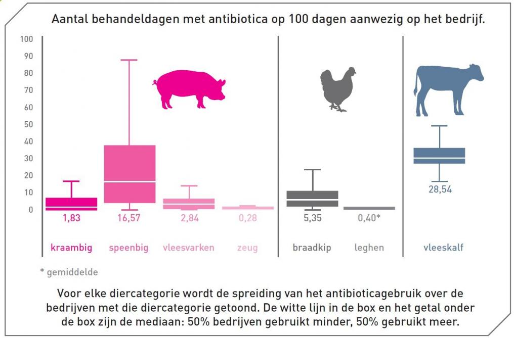 Figuur 2: Het gebruik van antibiotica verschilt tussen de deelsectoren en tussen de onderlinge bedrijven.
