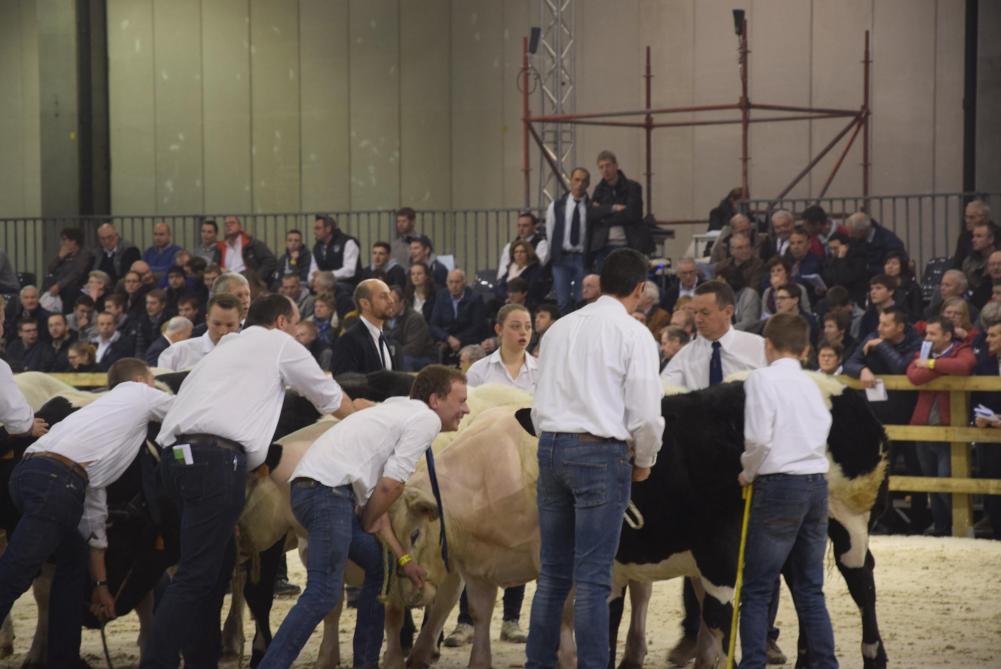 De Brussels Livestock Show is ondanks sombere berichten twee jaar terug, gewoon van de partij.