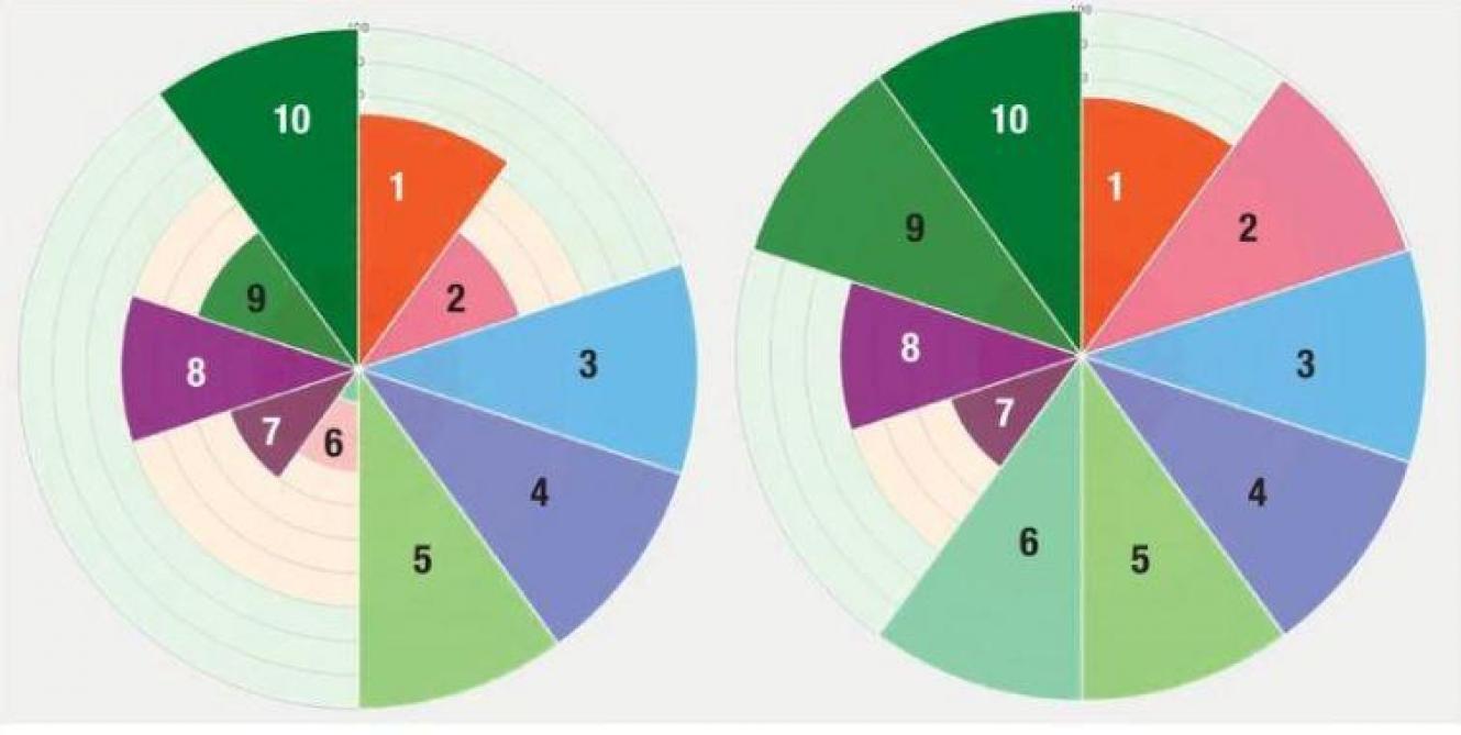 Figuur 2. BodemIDee voor kerende (links) en niet-kerende bewerking (rechts). 1. pH-KCl waardering; 2. %OC waardering; 3. Bodemstructuur; 4. Plasvorming; 5. Regenwormen; 6. Onkruidindicatoren; 7. Bodemverdichting en kleur; 8. Nutriëntenstatus; 9. HWC analyse; 10. Meer informatie over type regenwormen of bodemleven. (Bron: Provincie Vlaams-Brabant)