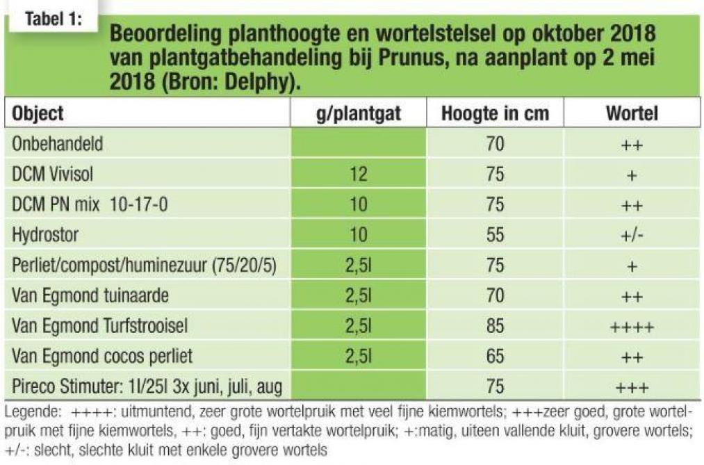 PLANTHOOGTE