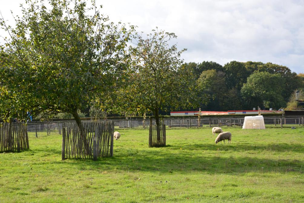 Kinderboerderij Rivierenhof verwelkomt jaarlijks circa 30.000 bezoekers.