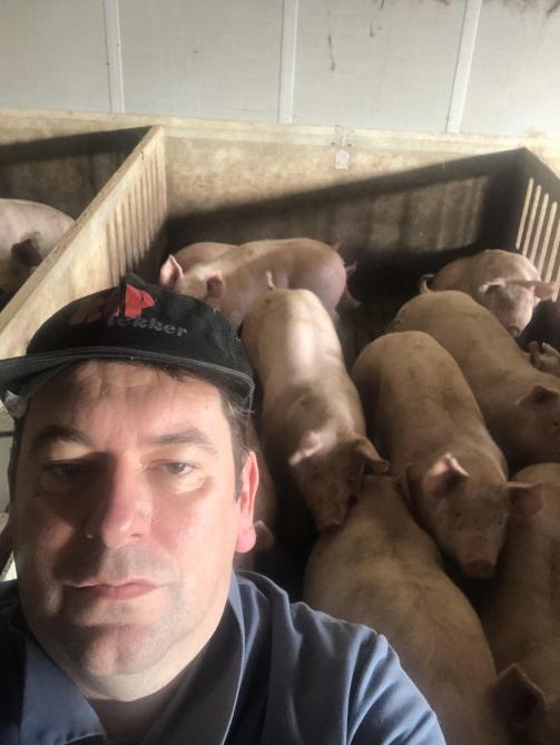Een selfie van Bart Dochy in het varkenshok.