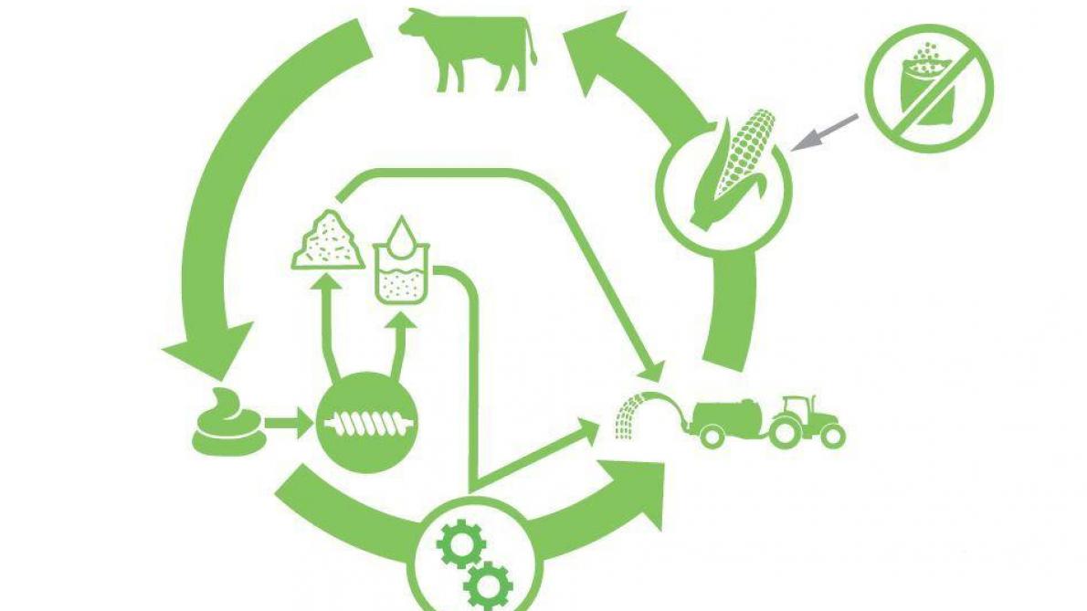Het gebruik van kunstmestvervangers van dierlijke afkomst draagt bij aan de circulaire landbouw.