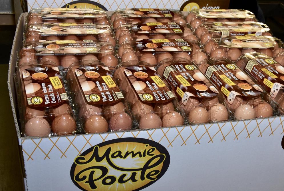 Meer dan ooit moeten we kiezen voor lokale, duurzame en diervriendelijk geproduceerde eieren.