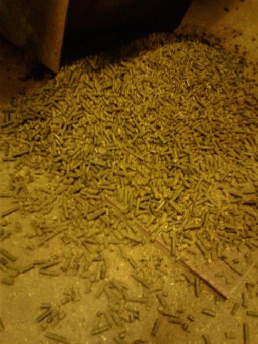 De meeste luzerne wordt verwerkt tot pellets.