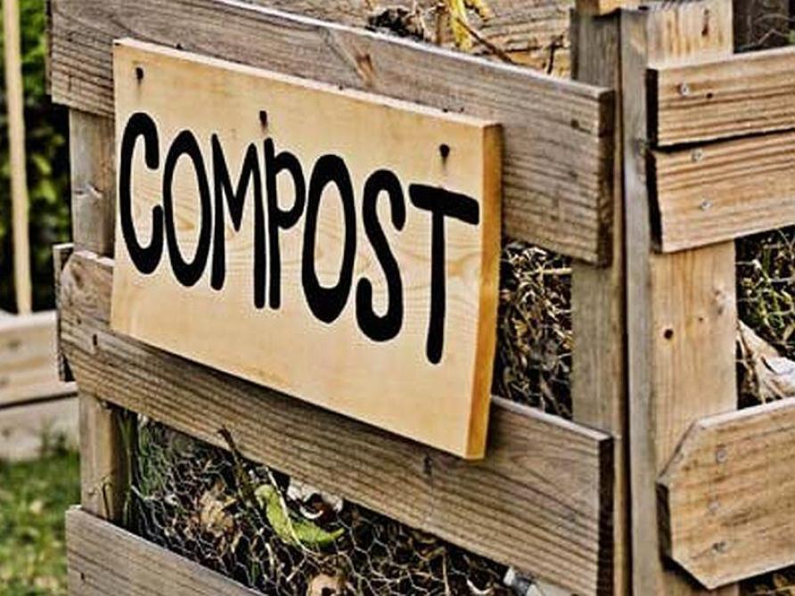 Vaak twijfelen tuiniers wat wel of niet op de composthoop mag.