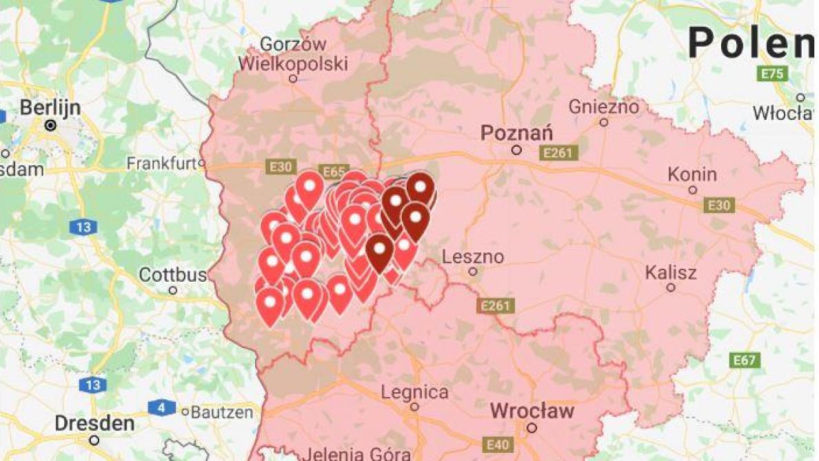 AVP-gevallen worden bijgehouden op digitale kaartjes. Hier het besmette gebied in Polen.