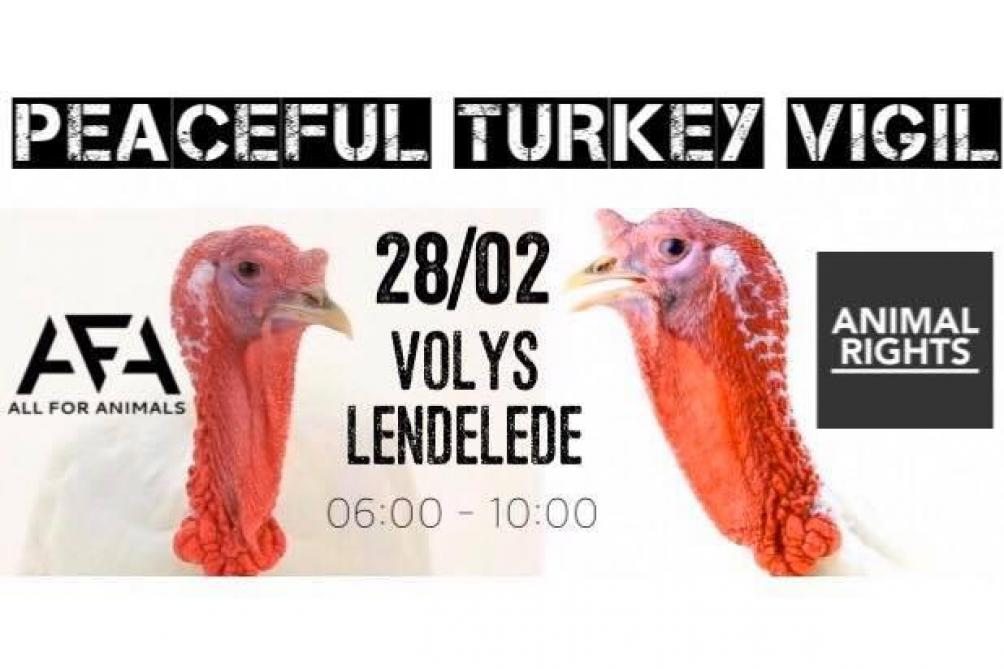 Op vrijdag 28 februari volgt met Peaceful Turkey Vigil een nieuwe actie bij Volys in de Oudstrijderslaan in Lendelede.