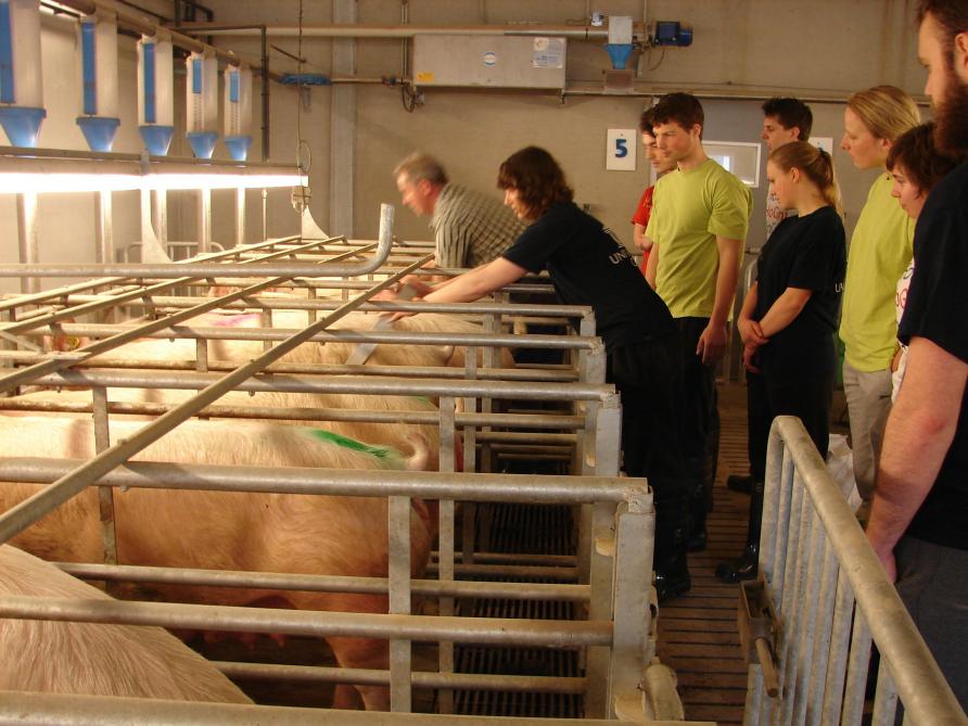 De varkenscampus ontving tussen 2015 en 2019 meer dan 4.700 bezoekers.