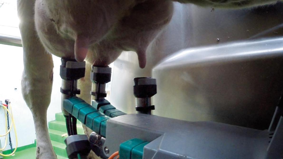 Een melksysteem dat 24 op 24 uur in werking is en continue in contact staat met melk vraagt een andere reiniging dan conventionele melksystemen.