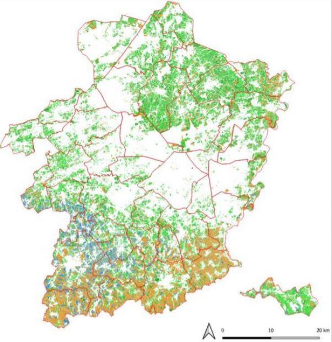Teeltgroepen vollegrondse landbouw in de provincie Limburg. Groen = grasland, donker groen = maïs, blauw = pitfruit, beige = andere akkerbouwteelten (granen, groenten, aardappelen…)